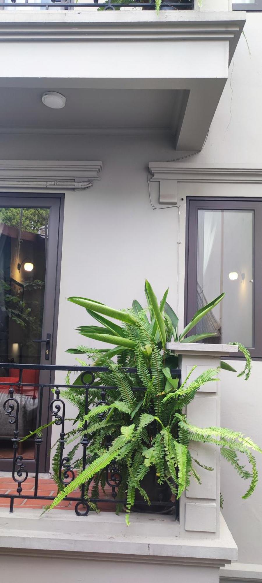 T Home Balcony Homestay Hanoi Bagian luar foto