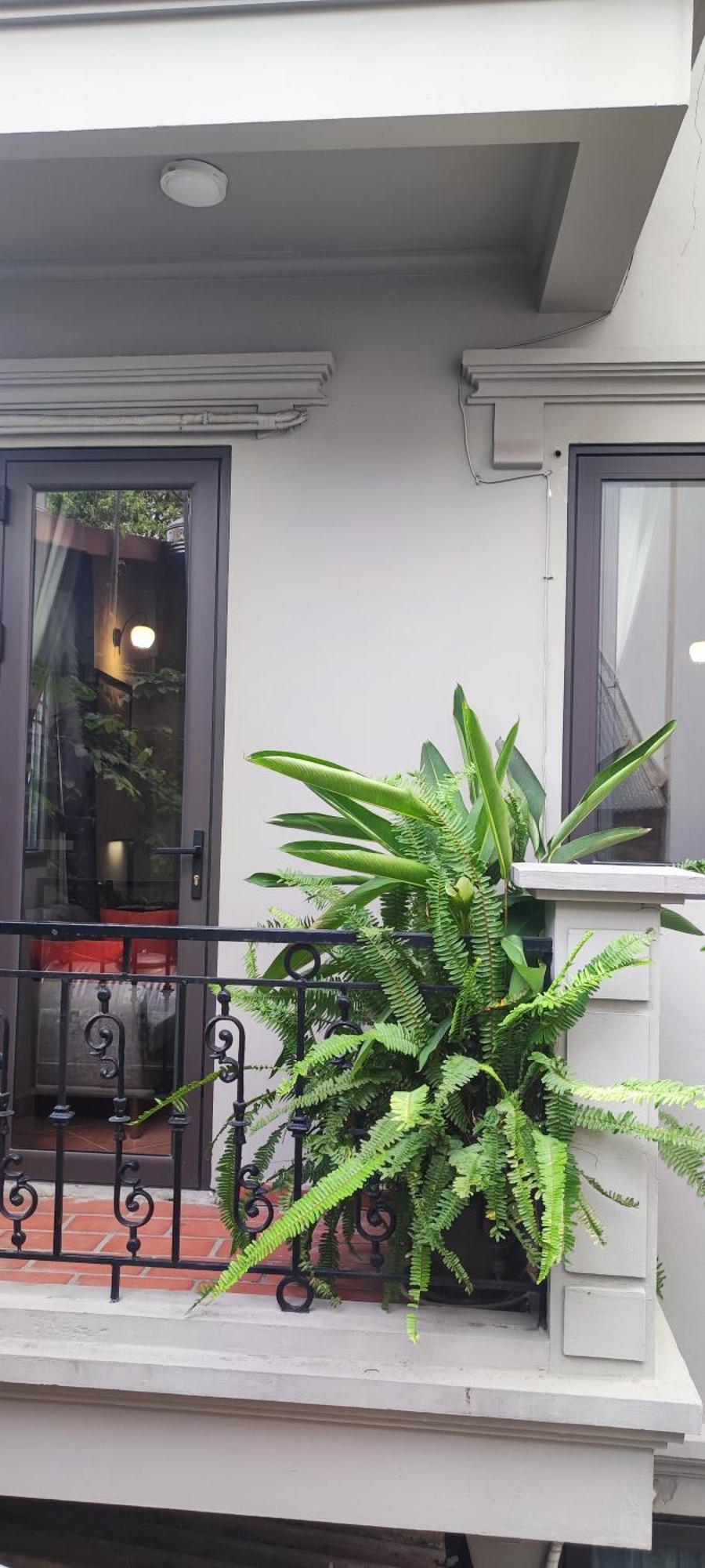 T Home Balcony Homestay Hanoi Bagian luar foto